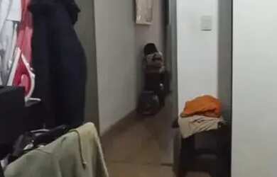 Imagem 13: Imóvel para venda com 150 metros quadrados com 2 quartos em Santo Antônio...