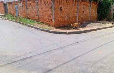 Imagem: A casa possui 2 Dormitórios, 1 Banheiro e está localizado