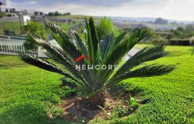 Imagem 16: Lote em Rua Claudio Colhado - Residencial Fazenda Santa Rosa - Fase 1...