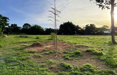 Imagem 2: Chácara residencial para Venda Estância Jóckei Club, São José do...