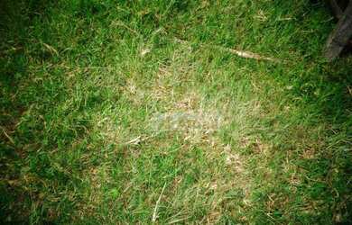 Imagem 14: Fazenda à venda, 1210000 m² por R$ 5.998.000,00 - Sousas - Campinas/SP