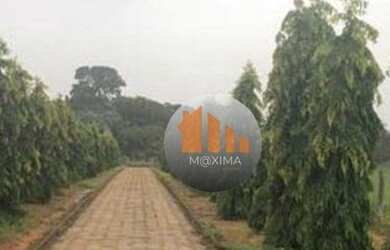 Imagem 7: Fazenda à venda, 68 alqueires por R$ 14.500.000 - Mozarlândia/GO