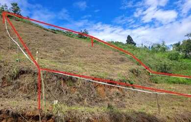 Imagem: O terreno possui 610m² de Área e está localizado em Miguel