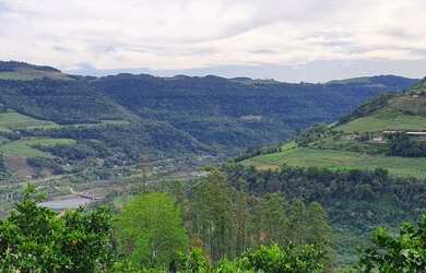 Imagem: A fazenda possui 32.000m² de Área e está localizado em Faria