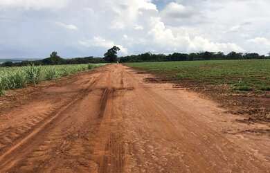 Imagem: A fazenda está localizado em Uberlândia, MG à venda por