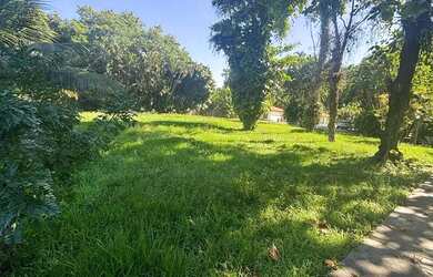 Imagem 16: Terreno com 34.369 m² e 220m de frente no Itanhangá ideal para investidores