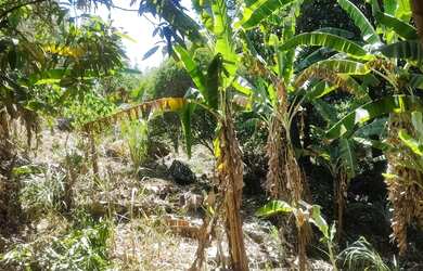 Imagem: A chácara possui 10.000m² de Área e está localizado em