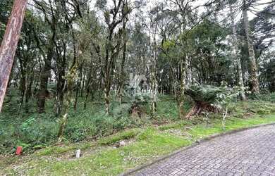 Imagem: O terreno possui 745m² de Área e está localizado em Canela