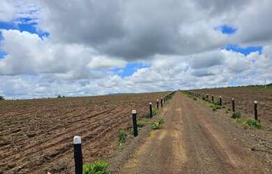 Imagem: A fazenda está localizado em Uberlândia, MG à venda por