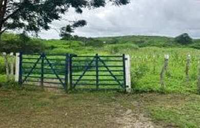 Imagem: A fazenda possui 8.250.000m² de Área e está localizado em