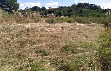 Imagem 3: Lote urbano. 360m² de Área