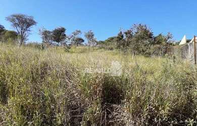 Imagem: O terreno possui 2.500m² de Área e está localizado em Morada