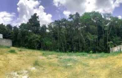 Imagem 12: Alphaville I. 1.800m² de Área