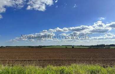 Imagem 2: Fazenda com 40 alqueires para agricultura Nogueira Imóveis Rurais