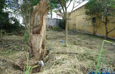 Imagem 11: TERRENO - JARDIM RINCÃO - SP
