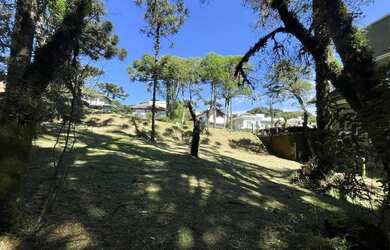 Imagem 4: Lote a venda no condomínio Altos Pinheiros