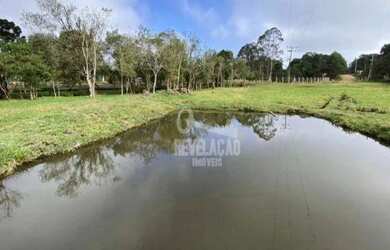 Imagem: A fazenda possui 10.000m² de Área e está localizado em Tijucas