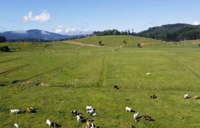 Imagem: A fazenda possui 430.000m² de Área e está localizado em