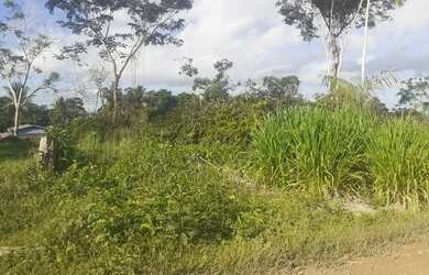 Imagem 3: Terreno no são José. 10m² de Área