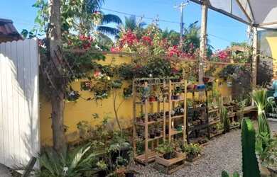 Imagem 12: Oportunidade para investimento Maravilhoso horto em Jaconé, Maricá