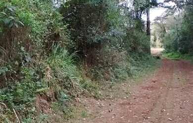 Imagem: A fazenda possui 20.000m² de Área e está localizado em Nova