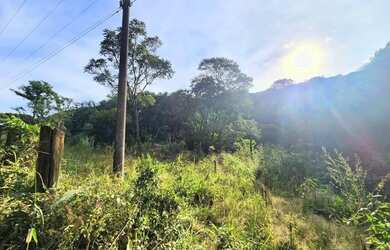 Imagem 4: Sítio / Chácara para Venda em Nova Petrópolis, Linha Pirajá Baixa