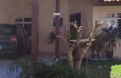 Imagem: A casa em condomínio possui 3 Dormitórios, 2 Banheiros, 1