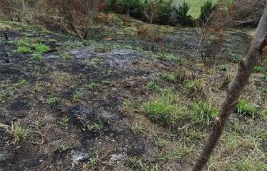 Imagem 1: Terreno POLIVALENTE. 840m² de Área