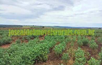 Imagem 12: Fazenda 20,0 alqueires em soja, ribeirão, Monte Alegre de Minas MG