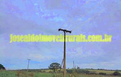 Imagem 14: Fazenda 20,0 alqueires em soja, ribeirão, Monte Alegre de Minas MG