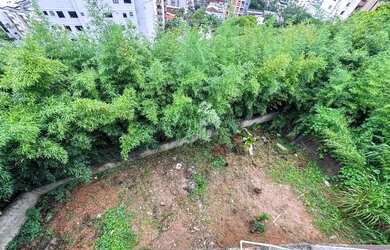 Imagem 6: Casa 3 quartos - Bom Pastor