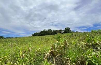 Imagem: O terreno possui 500m² de Área e está localizado em Ibiúna