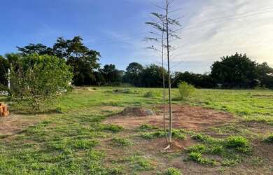 Imagem 4: Chácara residencial para Venda Estância Jóckei Club, São José do...