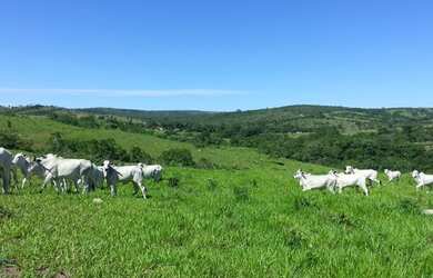 Imagem 7: Fazenda em Corumbaíba. Imóvel novo