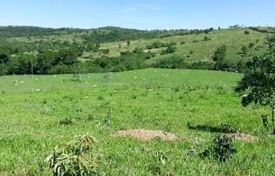 Imagem 9: Fazenda em Corumbaíba. Imóvel novo