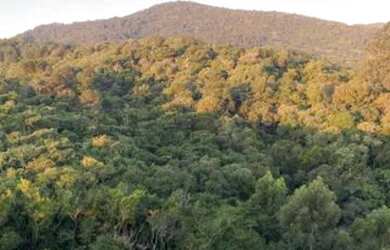 Imagem 7: Excelente cobertura Itacorubi com linda vista