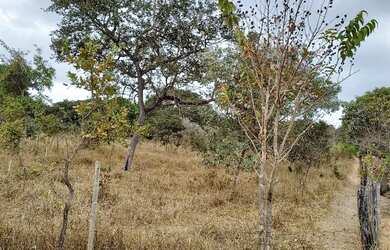 Imagem 15: 11.000 M2 BR 135 Acesso ao Pentáurea