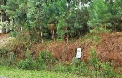 Imagem 2: Terreno à Venda em Gramado no Loteamento Marsal