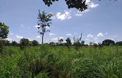 Imagem 7: Lote / Área comercial / Terreno / Go 020 Bela Vista de Goias