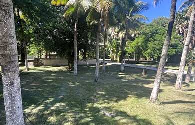 Imagem 15: Terreno com 34.369 m² e 220m de frente no Itanhangá ideal para investidores