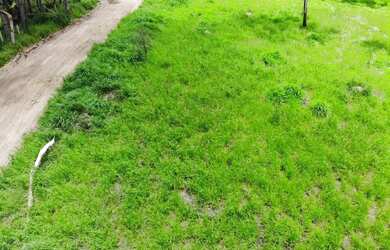 Imagem 12: Ds lotes liberados pra construir