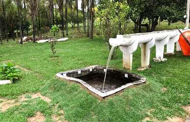 Imagem 4: Chácara de 8 alqueires em bela vista de Goias. 4 milhões avista