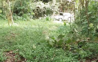 Imagem 7: Venda. 1.500m² de Área