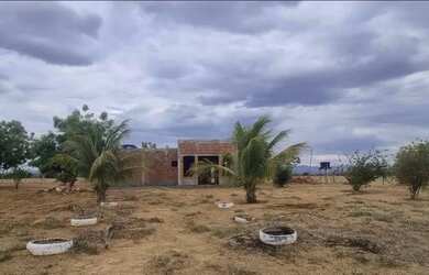 Imagem: A fazenda possui 2000m² de Área e está localizado em Mato