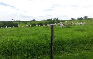 Imagem 11: Fazenda em Corumbaíba. Imóvel novo