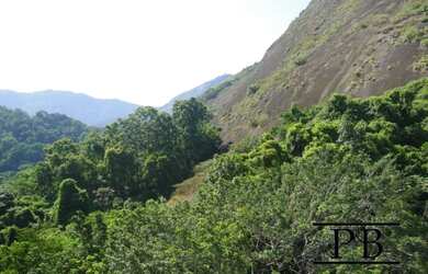 Imagem 3: Apartamento com 4 dormitórios, 319 m² - venda por R$ 11.000.000,00 ou...