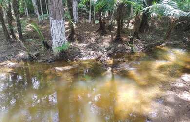 Imagem 2: Super chacrinha plaina próximo cachoeira turística 217 mil reais