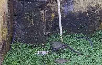 Imagem 13: Casa Casa com 2 dormitórios