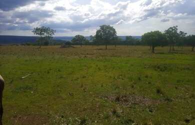 Imagem: A fazenda possui 6.250.000m² de Área e está localizado em