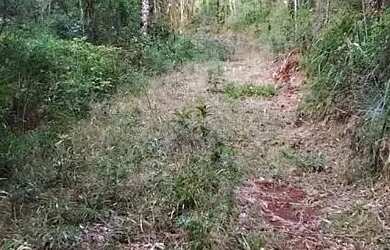 Imagem 2: Sítio / Chácara para Venda em Nova Petrópolis, Linha Imperial